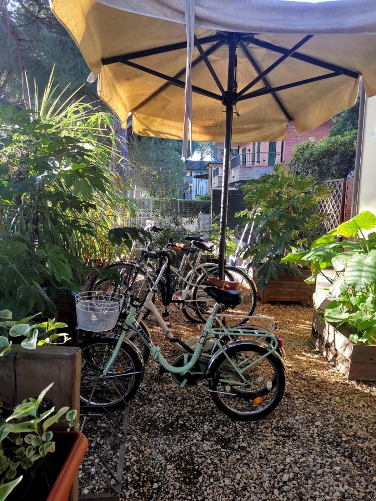 切尔维亚 Casa Dorita - Free Breakfast Corner 8-12酒店 外观 照片